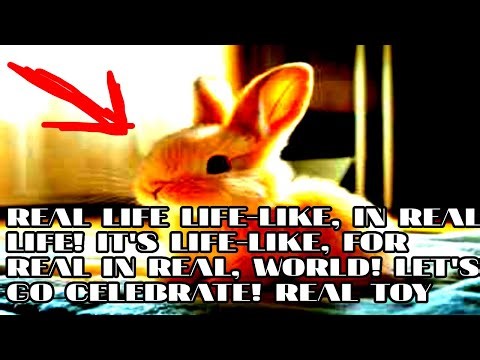 This Life-Like Bunny Robot Toy Will Real Life Like No Other!