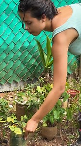 Do you have a favorite plant 🪴 | Gloriouss Garden