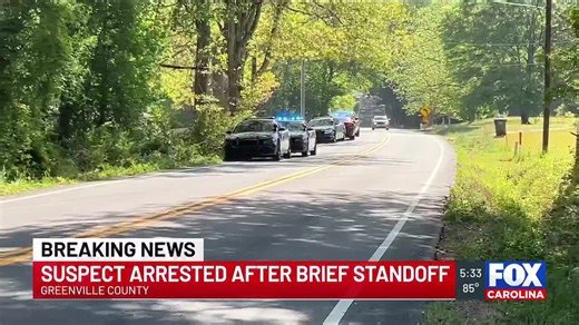 Suspect arrested after standoff in Greenville Co. during drug search, deputies say