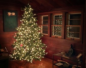 Christmas Tree Collection In Wauwatosa: What You Should Know