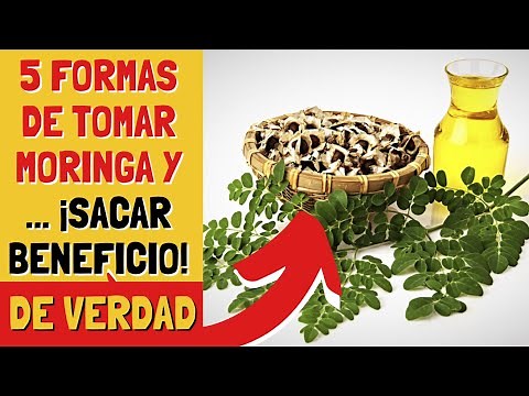 5 WAYS to TAKE MORINGA and (Get Benefits) 🌿 Exclusive Video