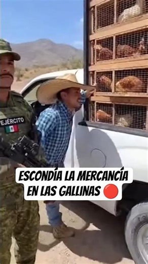 Militares descubrieron la mercancía #seguridad #nayibbukele #mexico #militares #militaresmexicanos