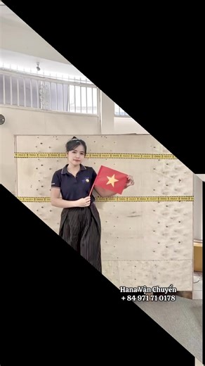 Export Logistics 🚢 ✈️ #usa #canada #australia