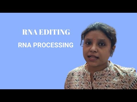 RNA EDITING//RNA PROCESSING