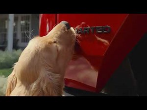 2026 Uncharted "Dog Tested: New Car Smell" :15