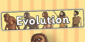 Evolution Display Banner
