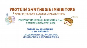Video: Miscellaneous protein synthesis inhibitors - Video Explanation! | Osmosis | Osmosis