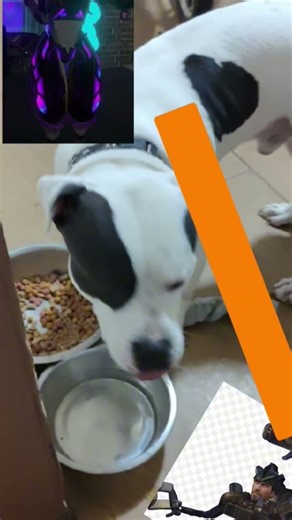 PROTOGENS VS HUMANS REMASTERED EP78