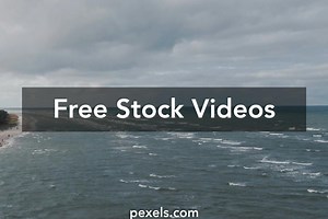 Free People On The Beach Videos