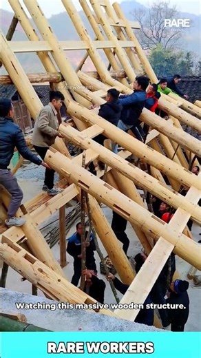 OMG, You Gotta See This TEAM Work! 👷‍♂️ My Heart is So HAPPY! #construction