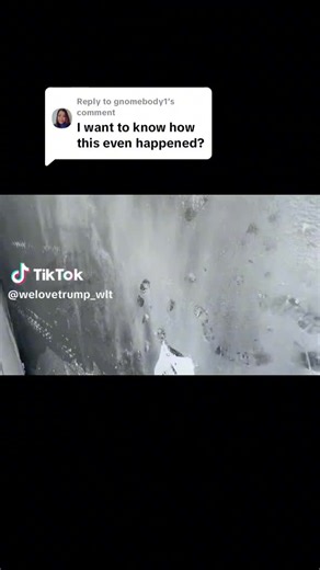 David straight on TikTok