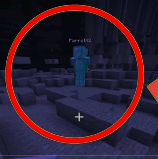 VIDEO ON MY CHANNEL! CHECK IT OUT! link to video: https://youtu.be/4PeXyoyGHNU?si=5zjXTbCNxBM3IMdF #parrotx2 #wemmbu #unstableuniverse #unstablesmp #spokeishere