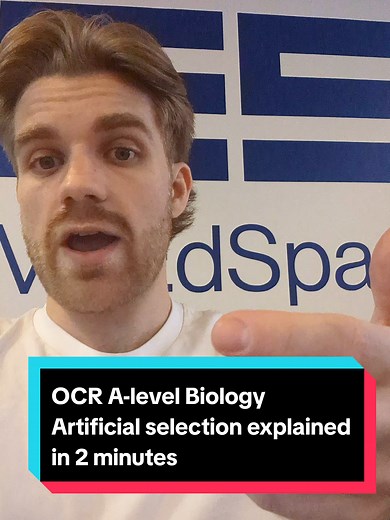 OCR A-level Biology - Artificial selection explained in 2 minutes #joedoesbiology #myedspace #biology #alevels #erc