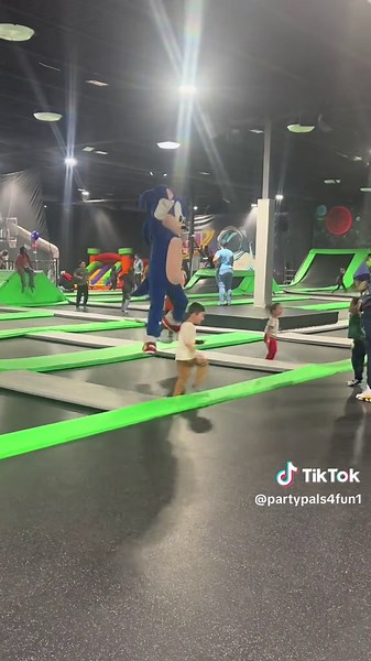 Sonic Takes Flight: Fun and Speed at Adventure Park