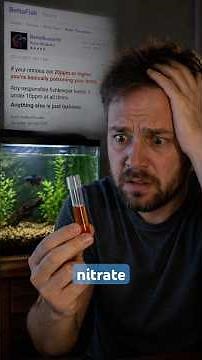 Aquarium Nitrates Explained: Why They’re Not the Enemy