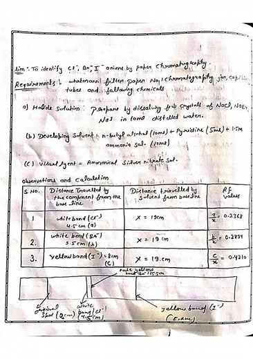 🔬 Identification of Cl⁻, Br⁻, I⁻ Ions by Paper Chromatography | Chemistry Practical #chemistry