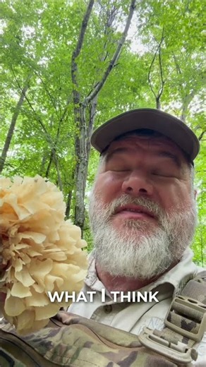 Eastern Cauliflower Mushroom: How We Identify It Before Eating