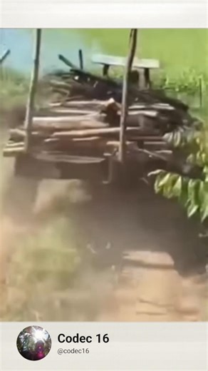 Trator desgovernado cai no barranco #trator #roça #viral