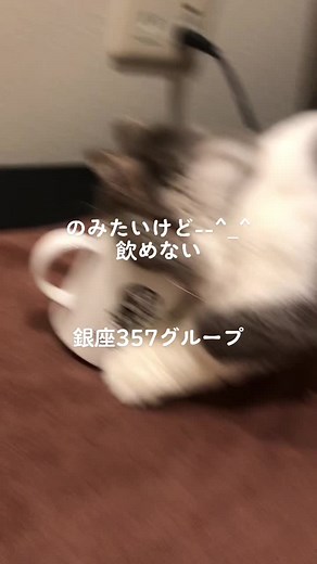 #音声効果チャレンジ #ジャップカサイ