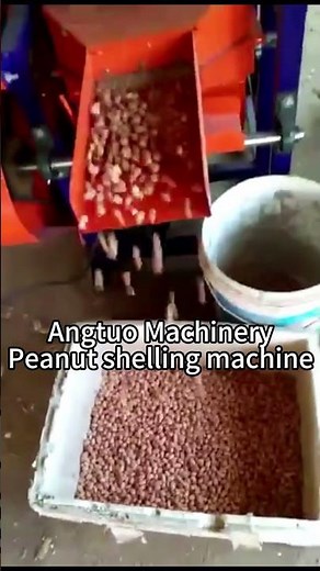 Watch Peanuts Get Shelled Instantly! ⚙️ | Peanut Shelling Machine Demo