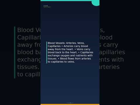 ICSE Circulatory System Explained! (Grade 10 Biology) | Biology