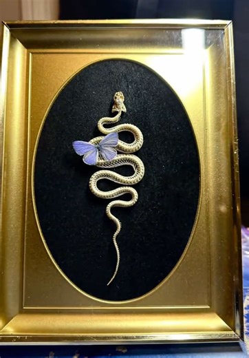 Vintage Style Art Featuring Snake and Butterfly