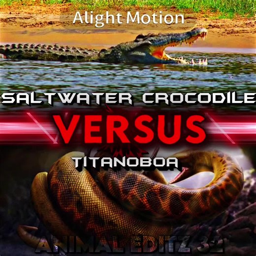 Titanoboa vs Saltwater Crocodile: A Giant Showdown
