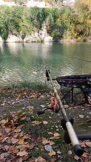 In diretta con il primo pesce della giornata.. 😍😍😍.. k8 evitato OLYMPUS SRL Asso Fishing Line | Fishing Passion & Feeder