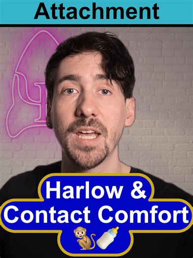 🧠 Harlow - Animal studies of attachment (Attachment) A-Level Psychology (AQA) 🔗 Posters • app • exam tutorials → link in bio #alevelpsychology #aqapsychology #psychologyrevision #alevels #sixthform #examrevision #revisiontips #studytok