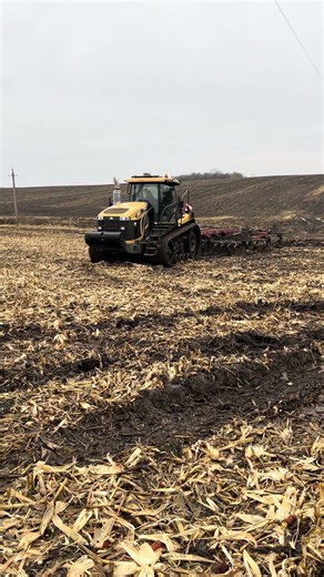 CAT Challenger Power🚜🔥 #shorts #agriculture #farming #tractorstunt