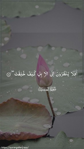 Surah Ghashiya Mashallah Recitation ❤️☪️