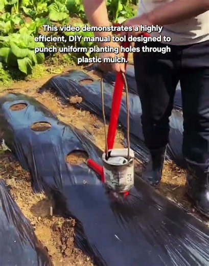 Efficient DIY Gardening: The Ultimate Mulch Hole Puncher