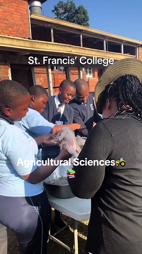 Second term highlights☺️ Our Agricultural Sciences pupils and their Educator work hard in the classroom and they also take it outside where they engage practically with what they learn in the classroom. #stfranciscollege #oraetlabora