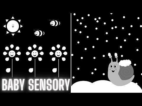 Baby Sensory Video | Seasons Black and White | High Contrast, Classical Music and Fun Animation.