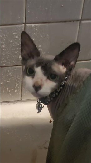 Bathroom buddy system