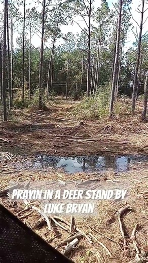 November 16, 2024 praying in the deer stand by luke Bryan