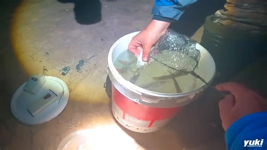 Lubinas al vivo // parte 2 #shimano #surfcasting #pesca