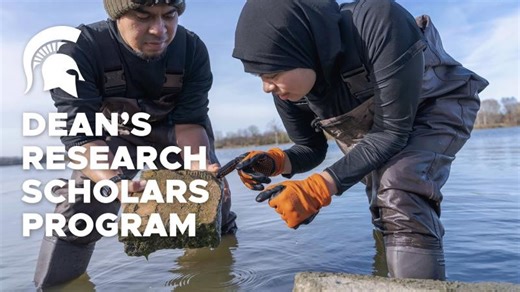 Why you’ll want to be a Dean’s Research Scholar | Michigan State University College of Natural Science