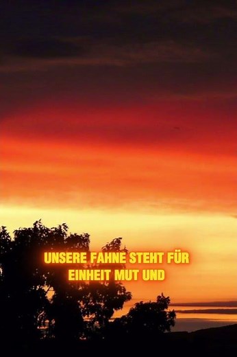 What does the German flag actually stand for? What do its colors represent? #explanation #knowled...