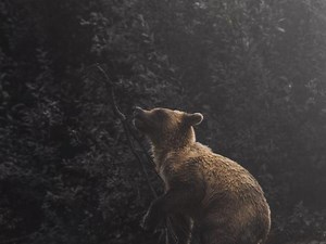 Coinbase's Market Share Tumbles to Less Than 3%: Mizuho