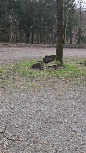 American Muscle Cars: Girls on Tour