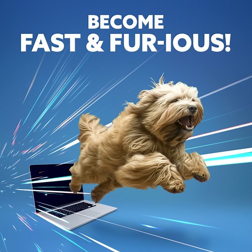 Is your cable internet all bark, no bite? Run with the big dogs by switching to up to 8 Gig all-fiber internet from TDS! | TDS Telecommunications LLC