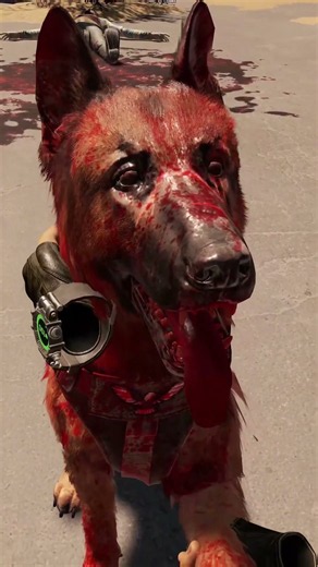 Job title: good boy. Also: professional Fred detector & occasional hero.