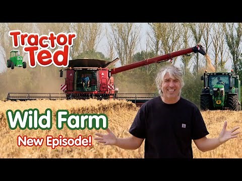 🧑🏻‍🌾 Meet Farmer George In Wild Farm! New Tractor Ted Trailer | Tractor Ted Official
