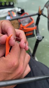 446K views · 2.8K reactions | Pêche au Jigger Sven Boon Fishing  #tackleguru #pecheaucoup #carpodrome #jigger | Tackle Guru France | Facebook