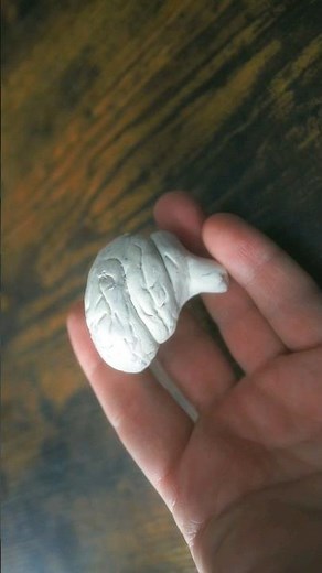 Brain Model Figure from Plasticine with Plast Play Time
