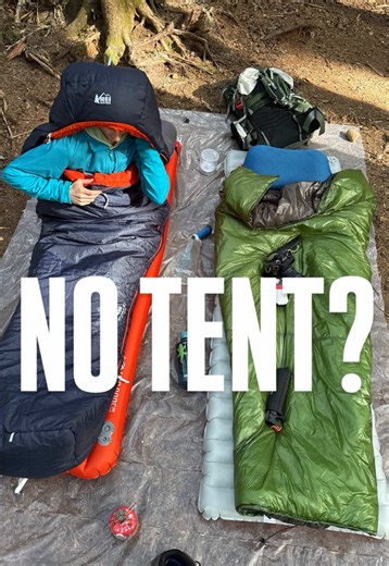 How to Deal with Bugs on Trail Outside: PNW Hiking Tips