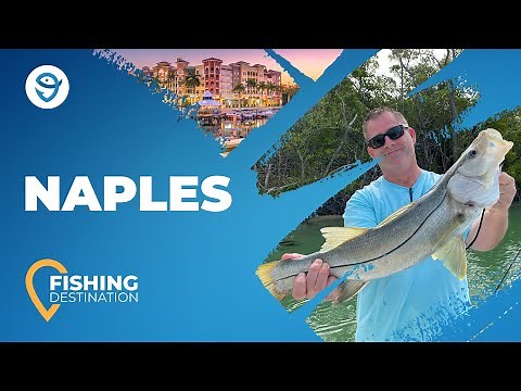 Fishing in Naples, FL: All You Need to Know | FishingBooker