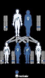 Perbedaan antara pewarisan monogenik dan poligenik | Monogenic vs Polygenic Inheritance - Sains & alam 2026