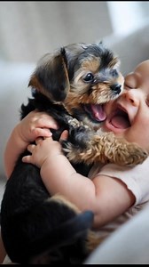87K views · 6.2K reactions | The purest form of life: a baby's smile and a puppy's love  Today, our hearts were filled with this image... Tiny giggles, soft paws, and an indescribable bond. Sometimes love needs no words; just a glance, a touch is enough. #BeingFamily #YorkieLove #TheTasteOfHappiness #HeartToHeart #LittleFriends #TheTasteOfTheMoment #fblifestyle #pet | Yorkshire Terrier | Facebook